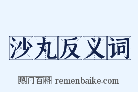 沙丸反义词是什么意思的图片